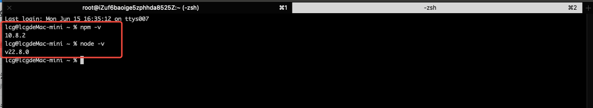 node -v 和 npm -v 输出结果