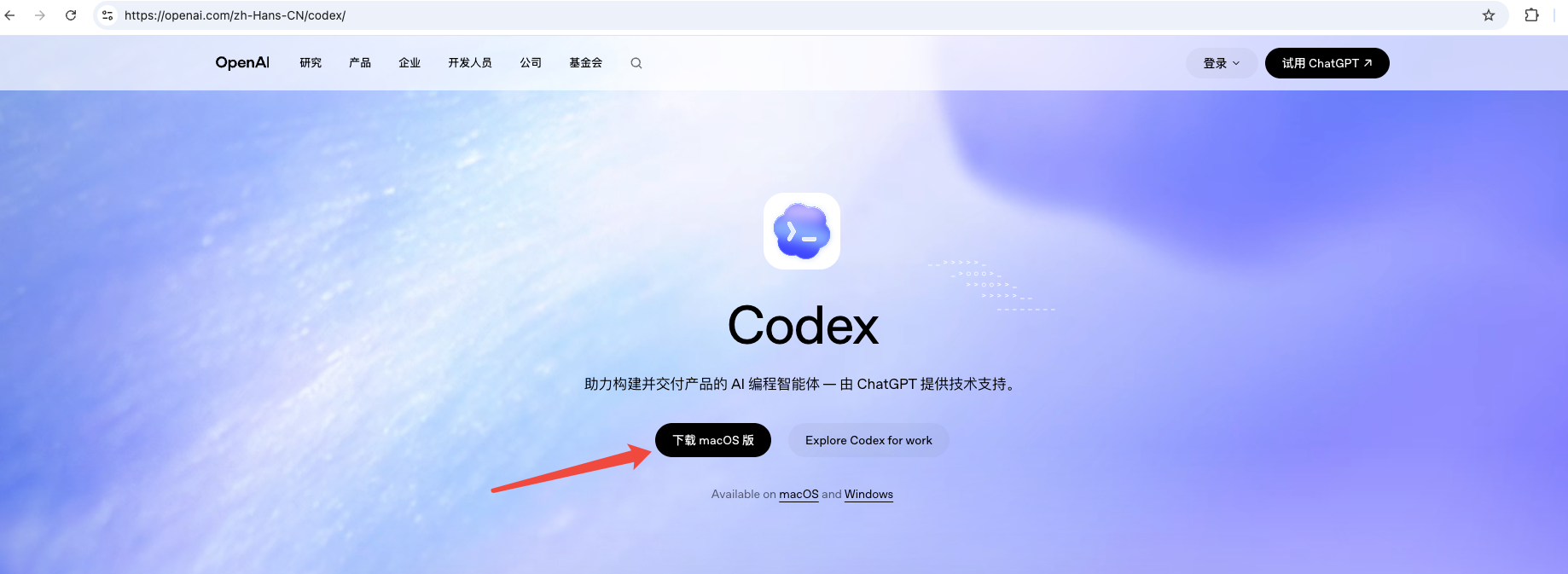 Codex App 下载页面并点击下载应用